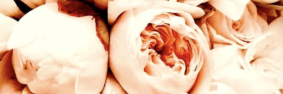 Bloom's banner