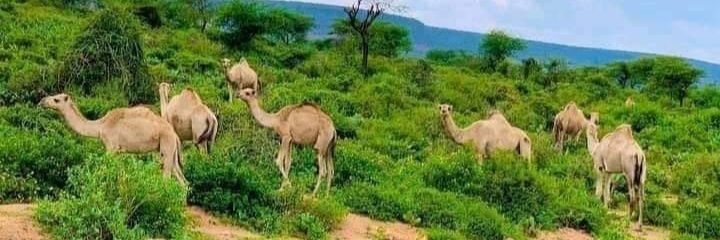 hashimmohamed02's profile banner image
