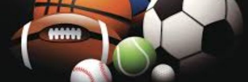 Sports Junkie banner