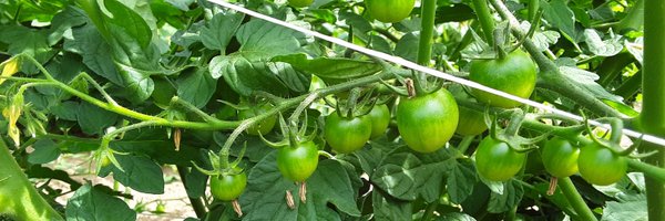 brix_farm Profile Banner