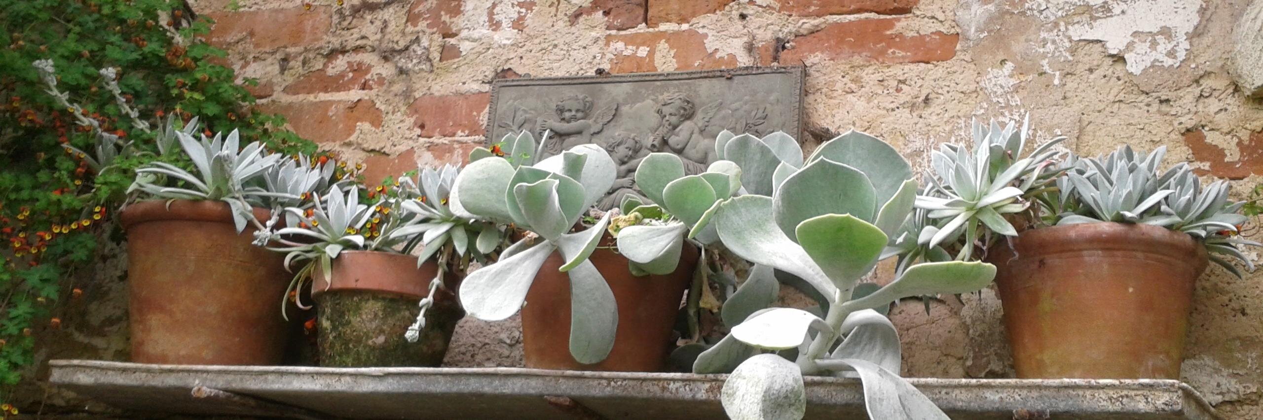 hortihub's profile banner image