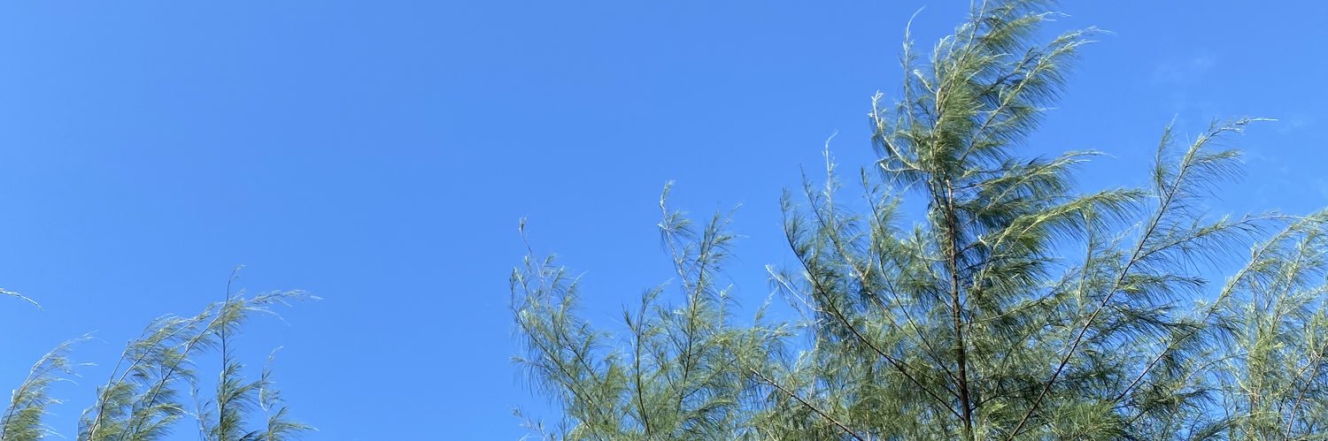 beeamm98's profile banner image