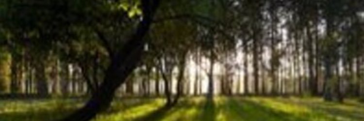 Javier Vilariño banner