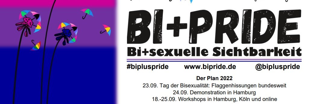 BiPlusPride's profile banner image