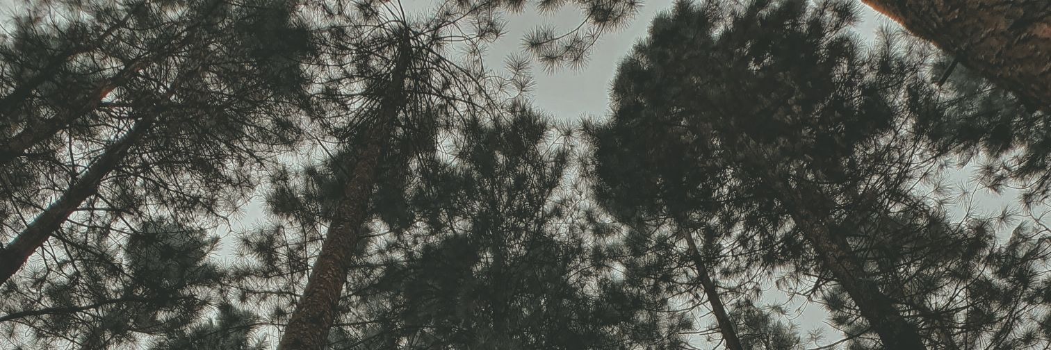 hig4shi's profile banner image