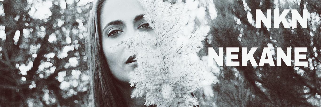nknnekane's profile banner image