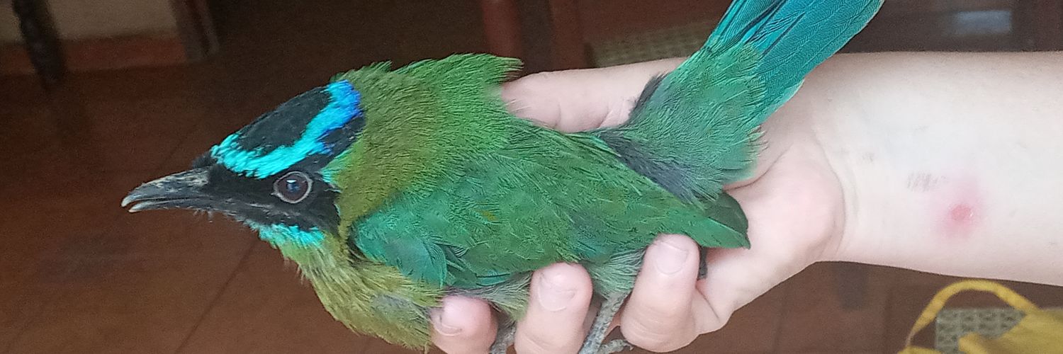 CorruptSandra 123 🔞 banner