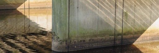abstraktnature's profile banner image