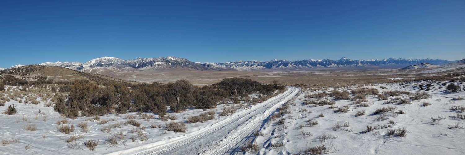 Matt Cornwall banner