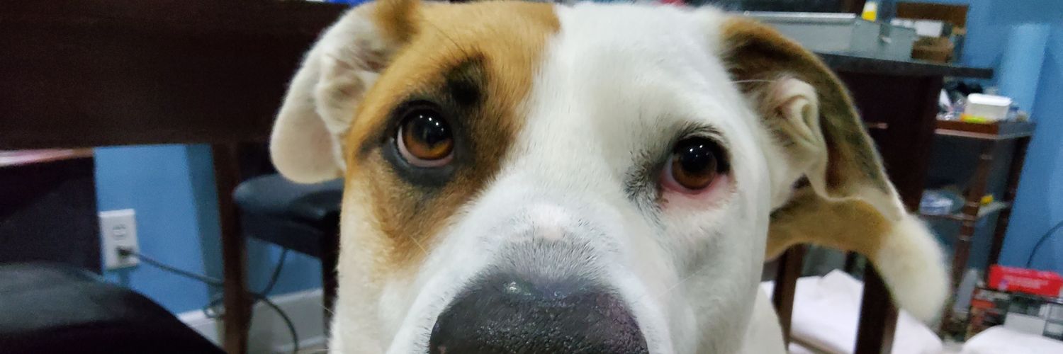 Chance Moneymaker banner