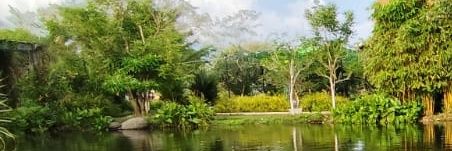 Sun Shine 🌻 banner