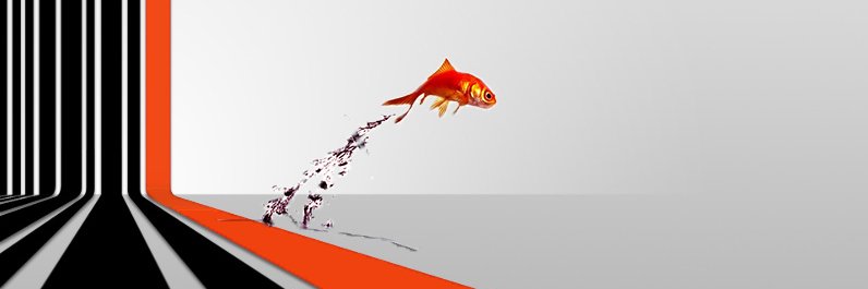 media_diffusion's profile banner image
