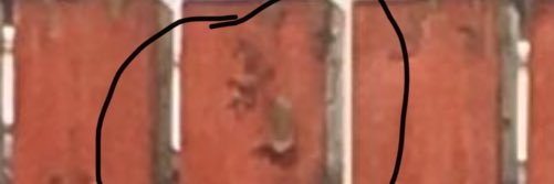 Notoriousjbw's profile banner image