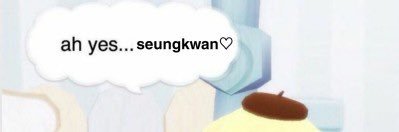 tiny seungkwan banner