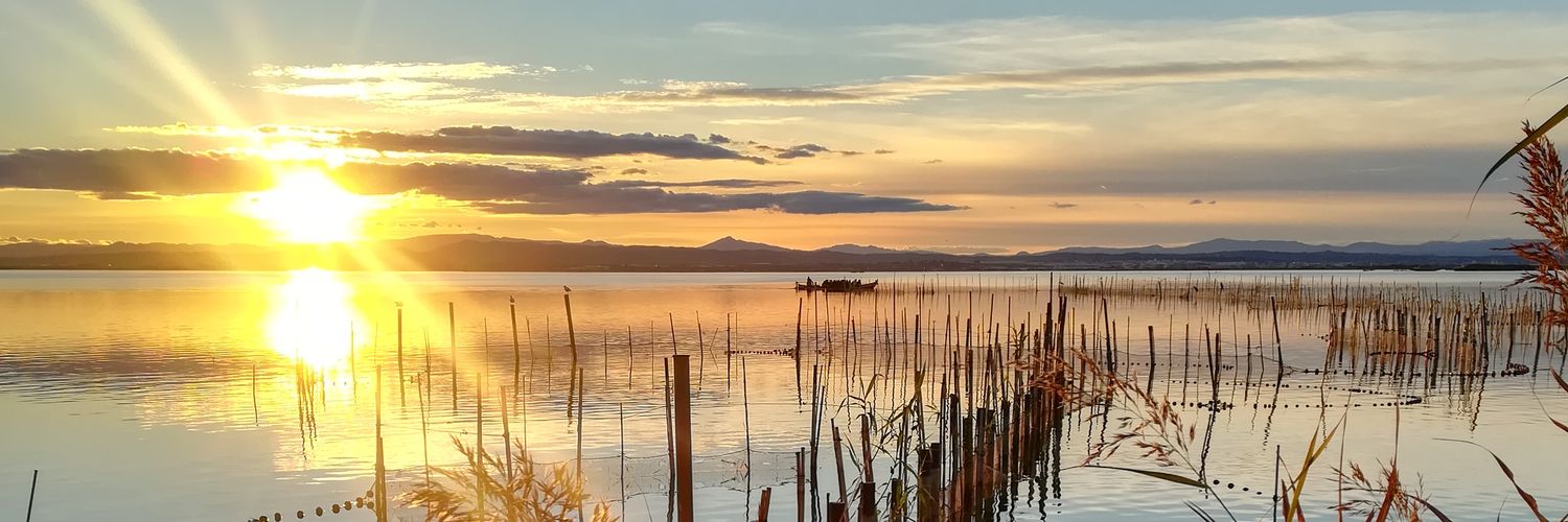 Alejandro Ricós banner