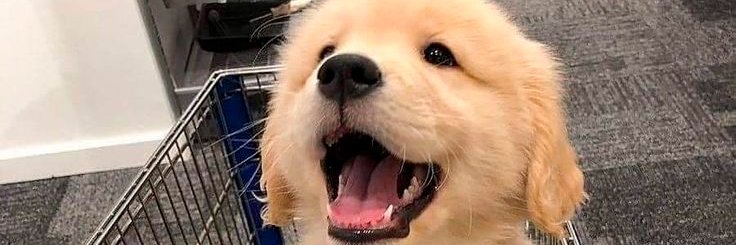 ShopySol's profile banner image