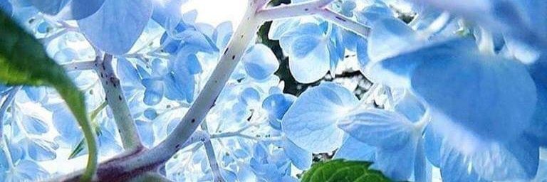 justlongbranch's profile banner image