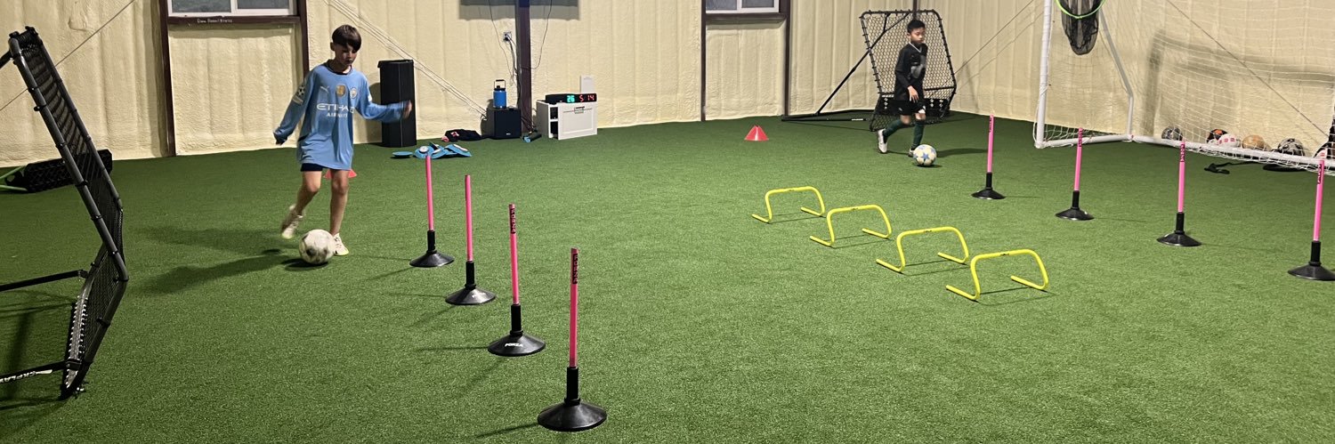 Sole Soccer Academy banner