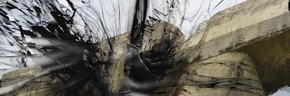 Kevin Morales banner