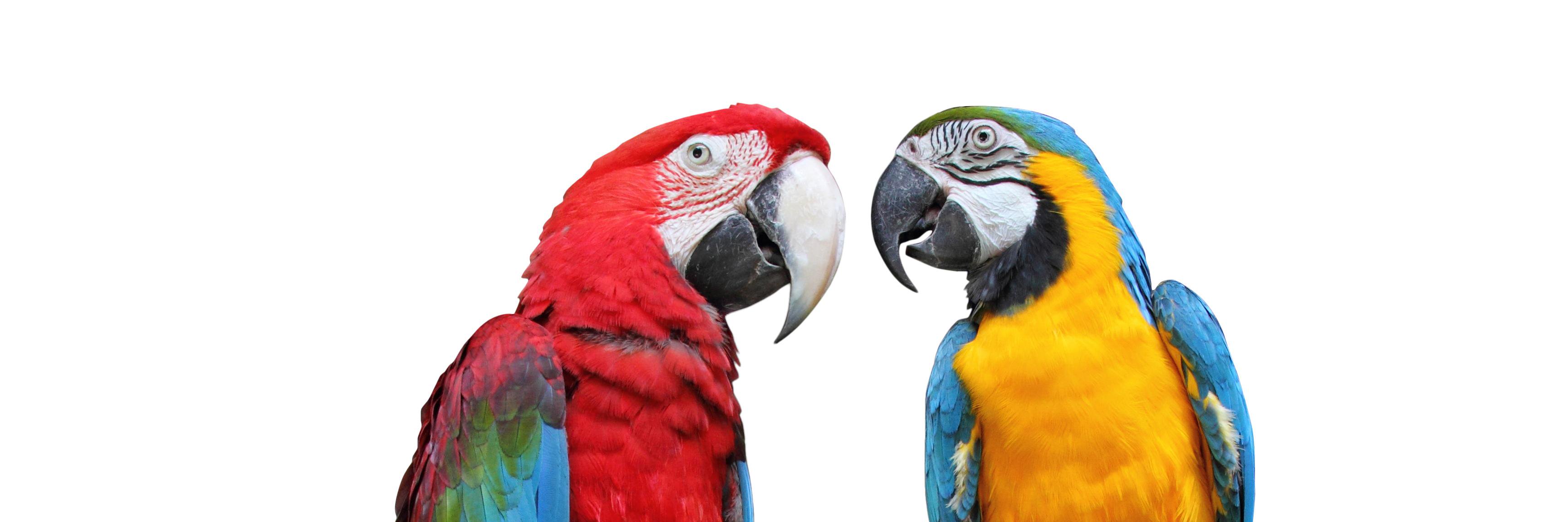 eprofits's profile banner image