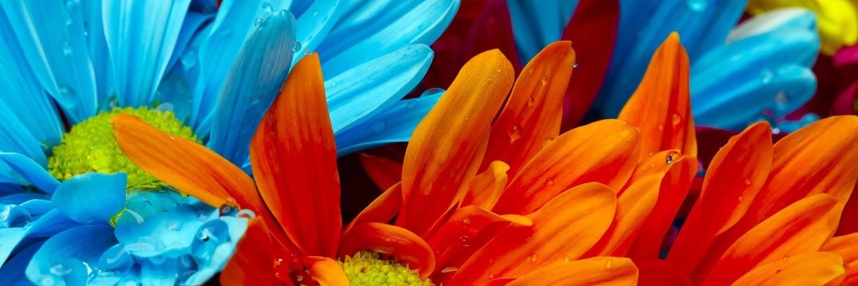 AnaM93N's profile banner image