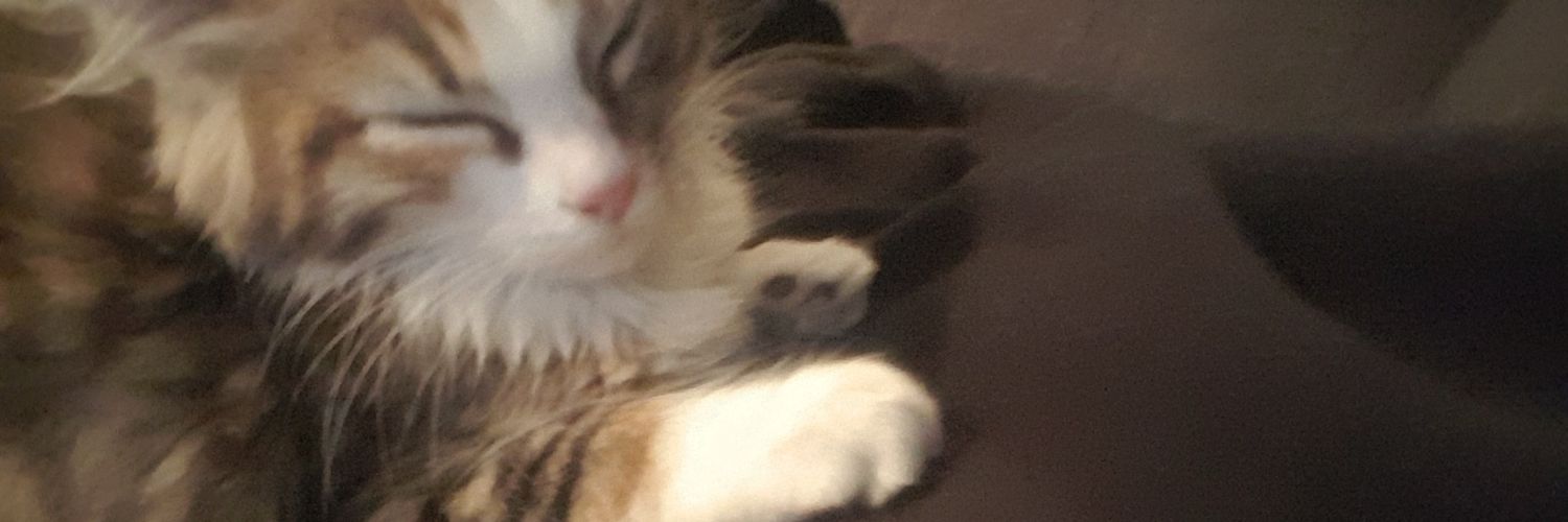 JojiBread's profile banner image