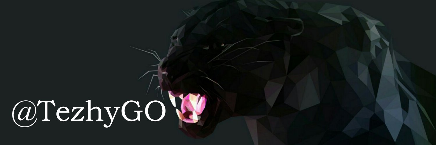 TezhyGO's profile banner image