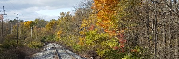 XandFur Profile Banner