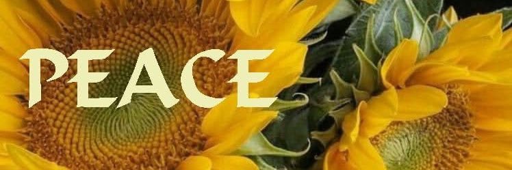 Ramona, CFC Fan VI 💙⭐️⭐️ banner