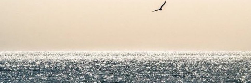 solivagant232's profile banner image