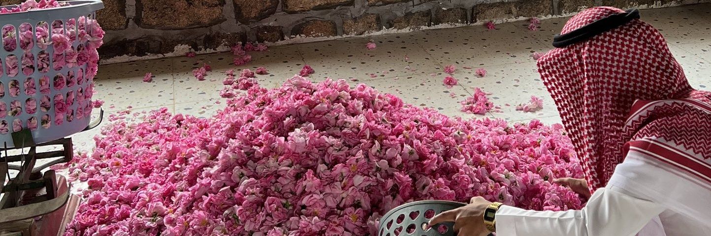 𝒏𝒖𝒆𝒗𝒆.𝟳𝟱 banner