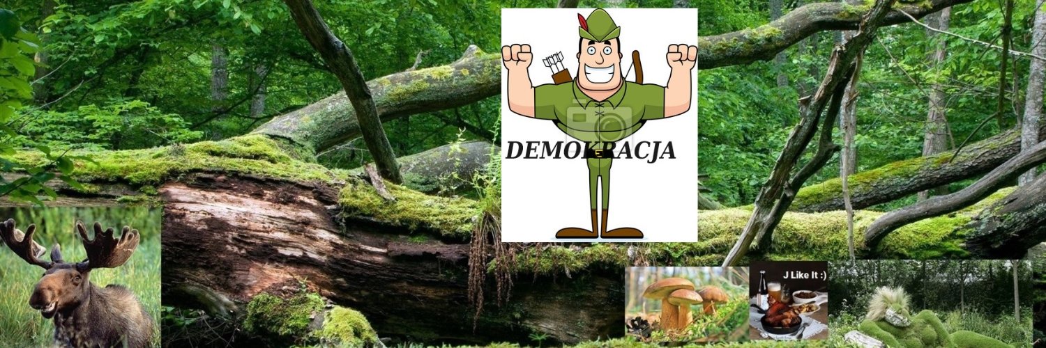 Robhood🏴‍☠ banner