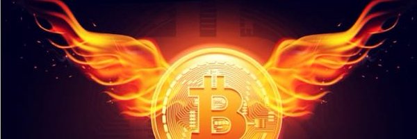 CryptoNino_net Profile Banner