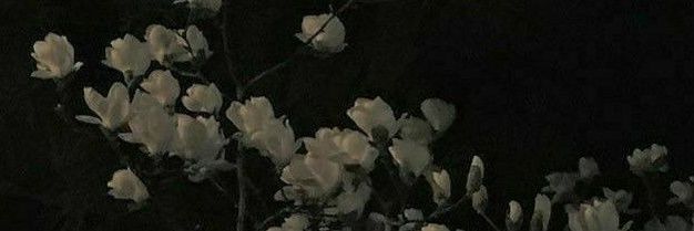 meg_armg's profile banner image