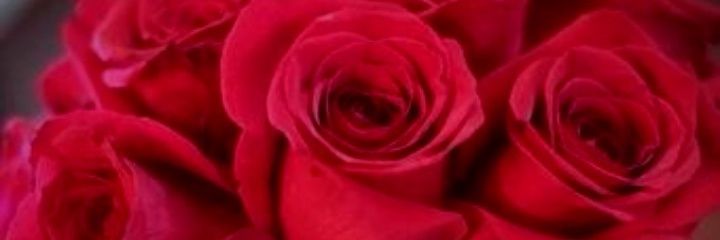 asmaa banner