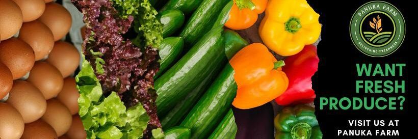 Panuka AgriBiz Hub banner