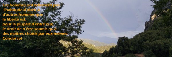 anne_g29 Profile Banner