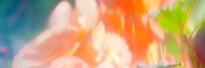 scale banner