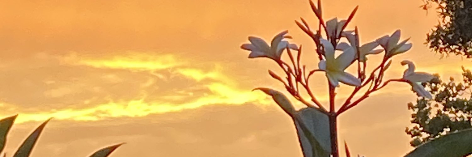 MAC’s NOT GOING BACK banner