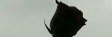 kiraz2168's profile banner image