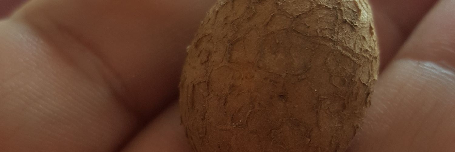 odinbey's profile banner image