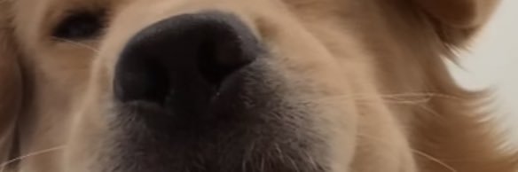 BenooCam's profile banner image