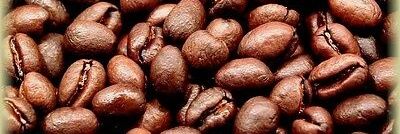 frappedophilosophy banner