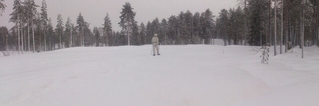 Elina Hienonen banner
