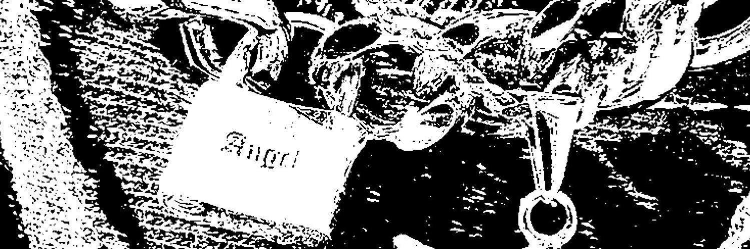 🐰 banner