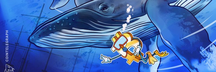 WeAreDaWhale banner