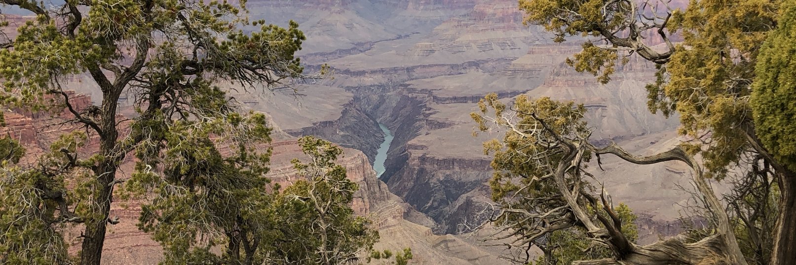 Timothy Morgenthaler banner