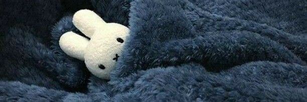 kimjavden's profile banner image