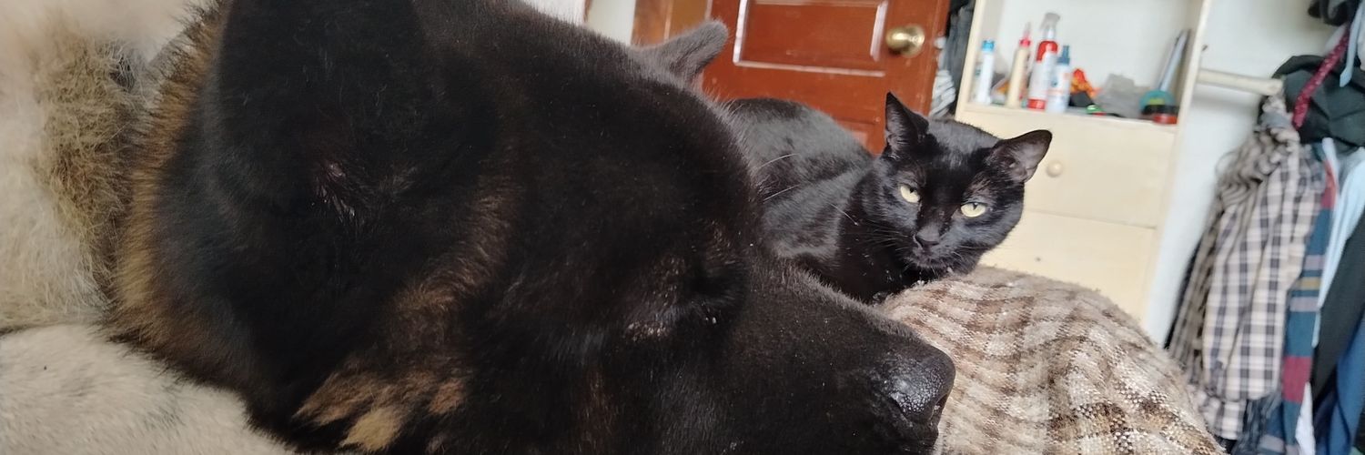 sekas99's profile banner image
