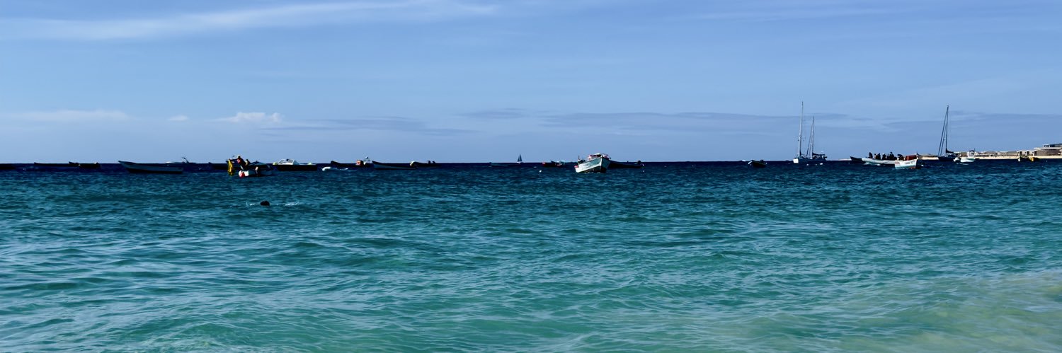 Rosye 🚩🇧🇷🇻🇪🇵🇸🇧🇷🟩⚪️🟥🚩 banner